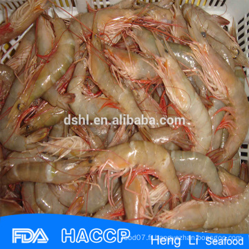 HL002 fruits de mer en gros de crevettes